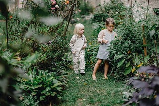 Starting a Community Garden | David Skudder