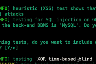 Advanced SQLMap Customization