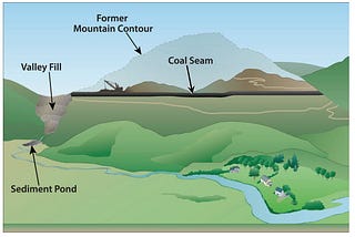 Healing from the Hollar