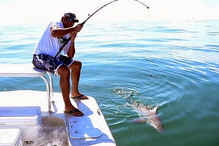 Why Do You Hire Sport Fishing Charters In Cabo San Lucas?