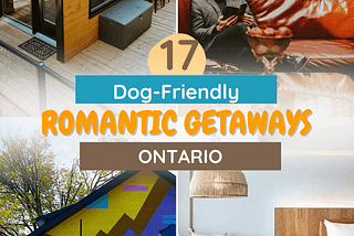 17 Dog-Friendly Romantic Getaways in Ontario