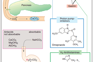 Drugs for lowering gastric acid concentration or production