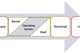 What happens when you type ls -l in the shell