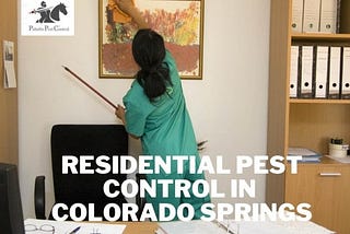 Why is Pest Control Necessary to Keep Residential Surroundings Clean?