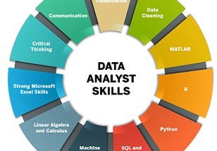 Roles of Data Scientist