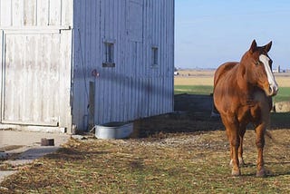 Watch: Faith and environmental stewardship on the farm fields of eastern Iowa