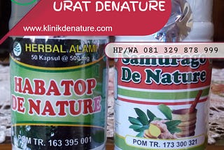 OBAT HERBAL UNTUK SEMBUHKAN ASAM URAT