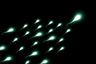 Spermidin für jüngere Zellen