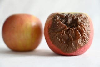 Image of two apples, one pristine and the other rotten.