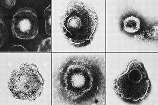 The Problem With Subclinical Herpesvirus Reactivations Throughout Life