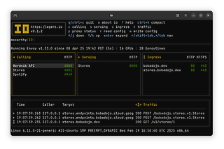 Your Friendly Neighborhood Network Proxy