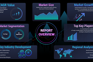 Middle Office Outsourcing Market 2024: Unveiling Growth Opportunities and Insights by 2031