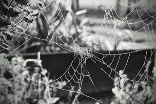 A black and white photo of a spider web covered in dew.