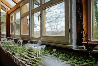 ZMAG in Croatia: The Region’s Reference for Permaculture, Community, and Good Economy