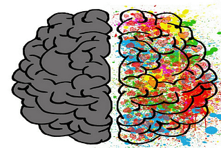 AQA A-Level Psychology Topics: Gender Evolution