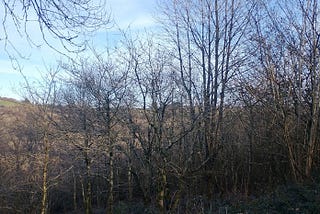 8. A Wander in Hinterland