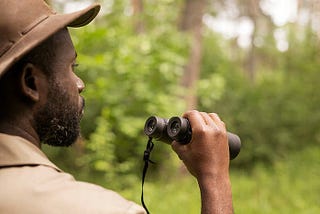 Birding Safaris in East Africa; Where to Go?
