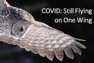 32. COVID: Still Flying on One Wing