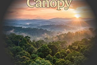 The Quiet Tax on Parallel AI Coding Work — and Why I Built Canopy