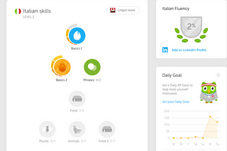 Duolingo: User Experience Storyteller’s Dream