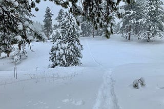 Save Our Snow Days! We Lose Something When we Go Remote During Bad Weather