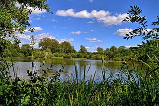 Meditation To Reduce Stress, Banish Loneliness & Improve Wellbeing