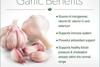 Growing Garlic for Beginners: The Definitive Guide