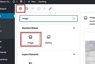 Taking Care Of Common Image Woes In WordPress