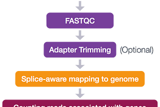 A Comprehensive Guide to Analyzing RNA-Seq Data: From Raw Reads to Biological Insights Using an…