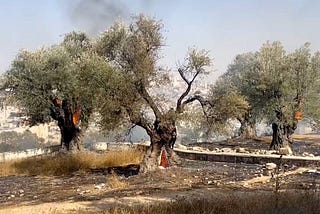 From Tribalism To Human Action: Ending Palestinian Suffering