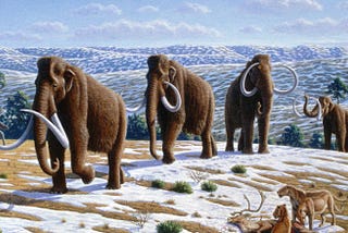 The Resurrection of the Woolly Mammoth