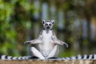 Understanding UX Usability with Lemurs and Song Lyrics