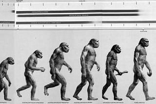 From Olympian god to dad bod: An evolutionary look into why we are shaped the way we are, and why…