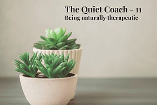 The Quiet Coach-11