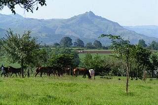 Eswatini: A Kingdom of Traditions and Progress