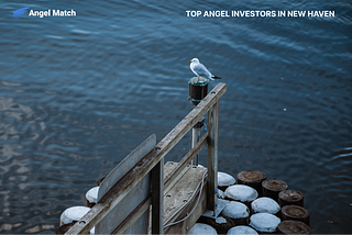 Top Angel Investors in New Haven