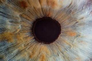 20/20 Vision: Peircing the Veil of Possibilities| The Let Go