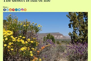 The Desert is Full of Life
