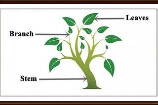 What Is The Difference Between Stems And Roots?