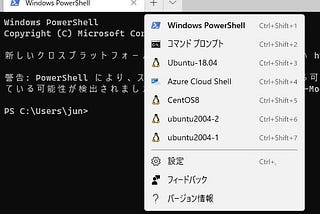 How to add multiple Linux systems manually in WSL(2)