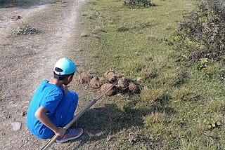 A Journey of Discovery: Tales from Manas National Park (travelogue)