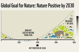 The Ultimate Investment: Biodiversity — The Impact Imperative