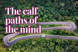 The calf-paths of the mind