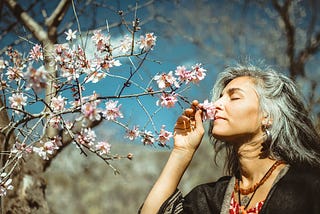 A middle-aged woman smelling apple blossoms outside in sunlight and a field