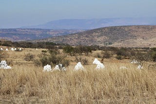 What Really Happened At The Battle Of Isandlwana In The 1879 Zulu War