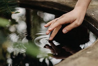 Three Wells Of Equanimity