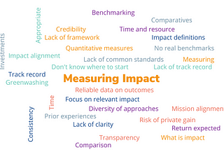 Exploring the challenges investors face when assessing venture managers for impact