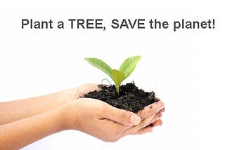 how i save earth by planting trees