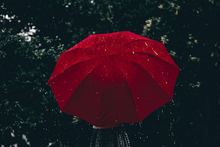 That Rainy Day Is Just What You Needed — Tamara Mendelson