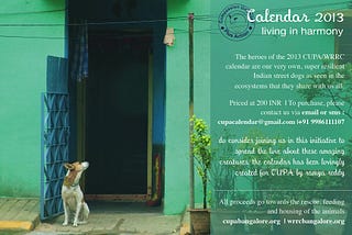 Living in Harmony — CUPA Calendar 2013